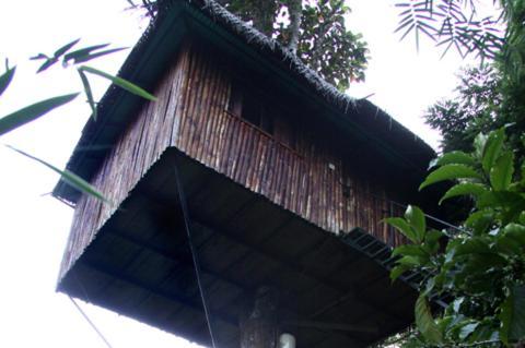 Coffee Acres Plantation Resort Калпата Стая снимка
